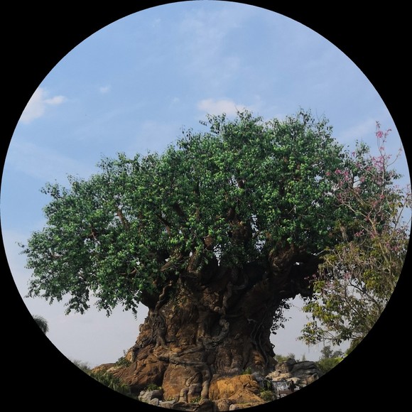 fashnablyfabuls